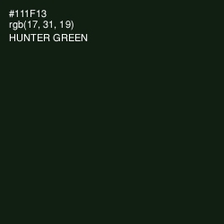 #111F13 - Hunter Green Color Image